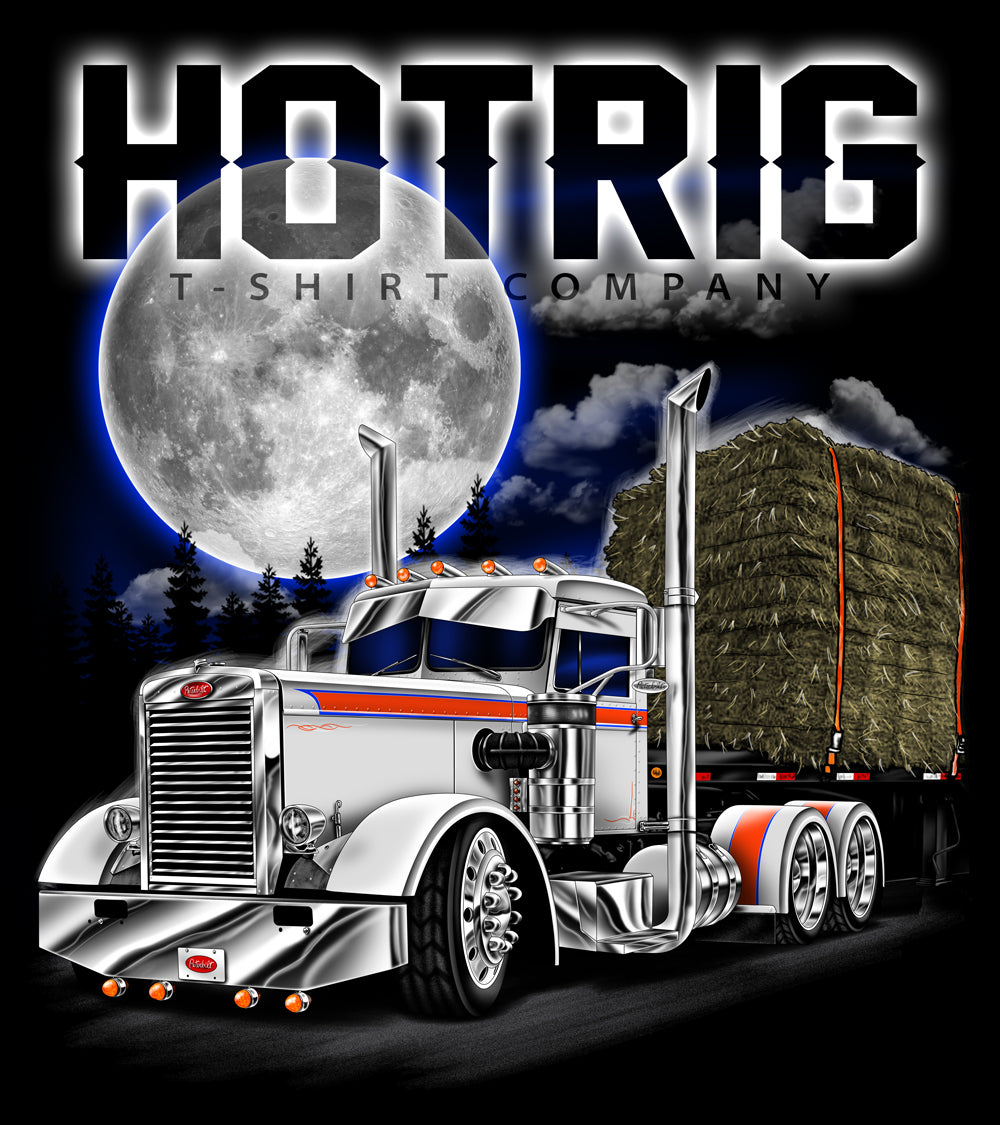 Needle In a Haystack