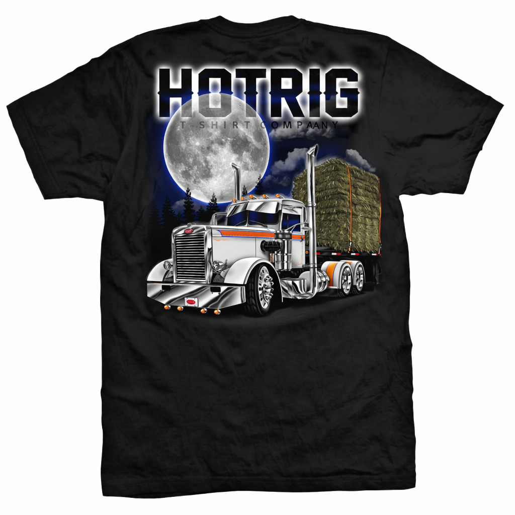 Needle In a Haystack